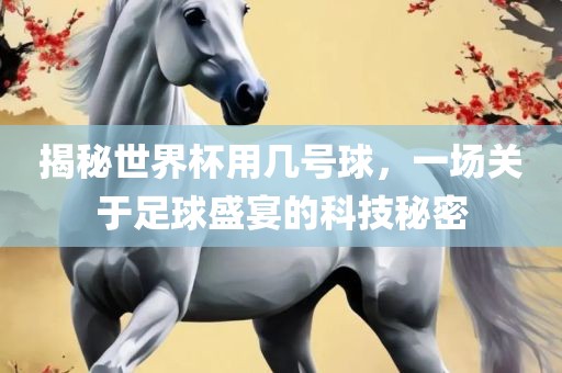 揭秘世界杯用几号球，一场关于足球盛宴的科技秘密漯河市盈旭机械设备有限公司