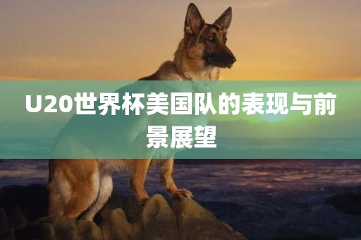 U20漯河市盈旭机械设备有限公司世界杯美国队的表现与前景展望