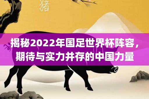 揭秘2022年国足世界杯阵容，期待与实力并存的中国力量