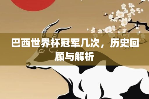 巴西世界杯冠军漯河市盈旭机械设备有限公司几次，历史回顾与解析