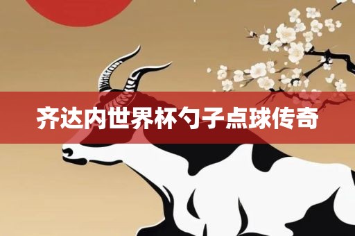 齐达内世界杯勺子点球传奇