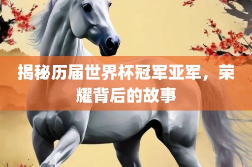 揭秘历届世界杯冠军亚军，荣耀背后的故事