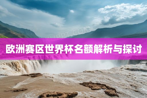 欧洲赛区世界漯河市盈旭机械设备有限公司杯名额解析与探讨
