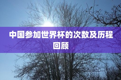 中国参加世界杯的次数及漯河市盈旭机械设备有限公司历程回顾
