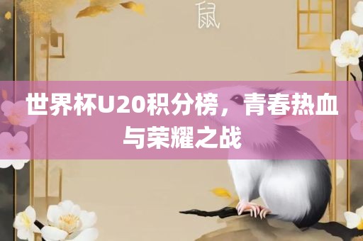 世界杯U20积分榜，青春热血与荣耀之战
