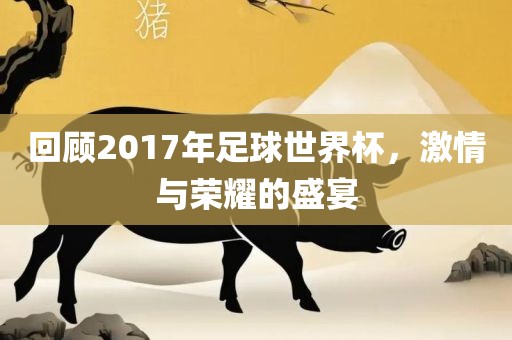 回顾2017年足球世界杯，激情与荣耀的盛宴漯河市盈旭机械设备有限公司