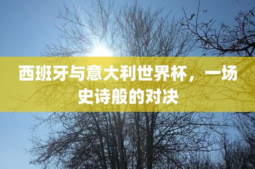 西班牙与意大利世界杯，一场史诗般的对决