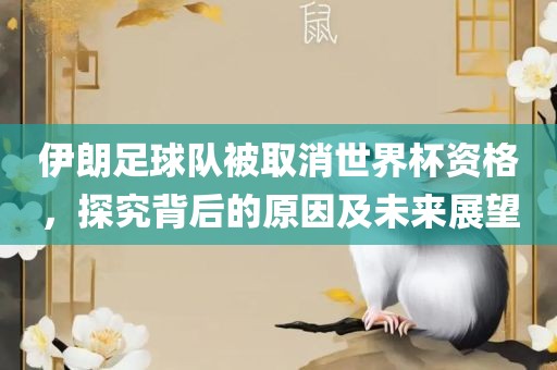 伊朗足漯河市盈旭机械设备有限公司球队被取消世界杯资格，探究背后的原因及未来展望