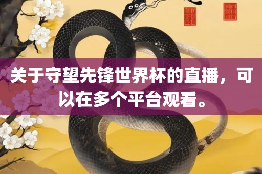 关于守望先锋世界杯的直播，可漯河市盈旭机械设备有限公司以在多个平台观看。