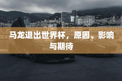 马龙退出世界杯，原因、影响与期待漯河市盈旭机械设备有限公司