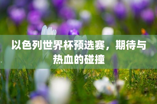 以色列世界杯预选赛，期待与热血的碰撞漯河市盈旭机械设备有限公司