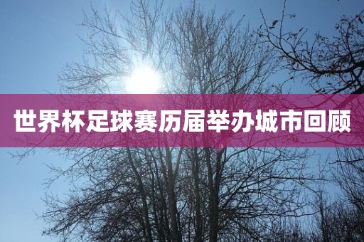 世界杯足球赛历届举办城漯河市盈旭机械设备有限公司市回顾