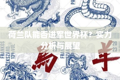 荷兰队能否漯河市盈旭机械设备有限公司进军世界杯？实力分析与展望
