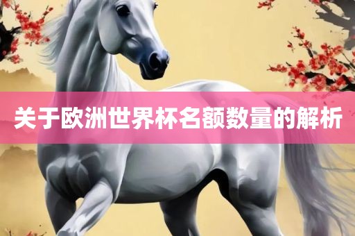 关于欧洲世界杯名额数量的解析