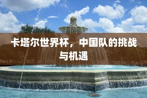 卡塔尔世界杯，中国队的挑战与机遇