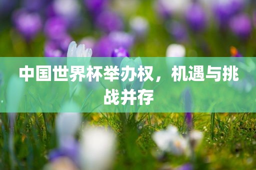 中国世界杯举办权，机遇与挑战并存漯河市盈旭机械设备有限公司