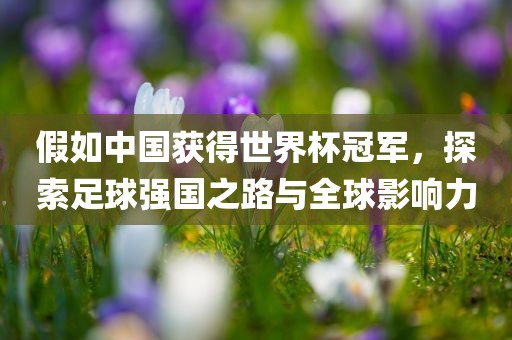 假如中国获得世界杯冠军，探索足球强国之路与全球影响力