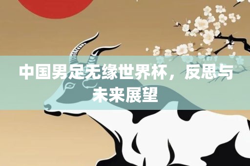 中国男足无缘世界杯，反思与未来展望漯河市盈旭机械设备有限公司