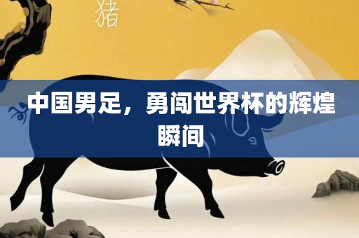 中国男足，勇闯世界杯的辉煌瞬间漯河市盈旭机械设备有限公司