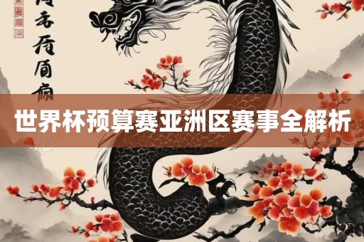 世界杯预算赛亚洲区赛事全解析