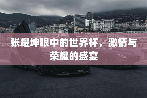张耀坤眼中的世界杯，激情与荣耀的盛宴