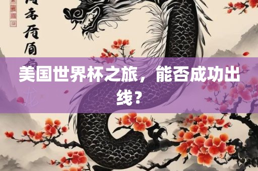 美国世界杯之旅，能否成功出线？