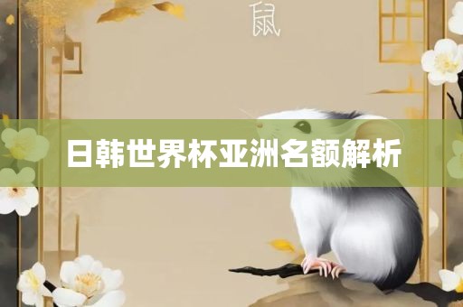 日韩世界杯亚洲名额解析