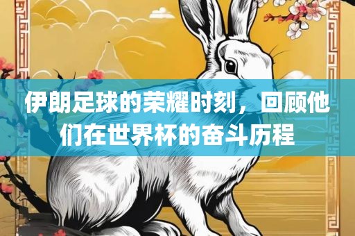 伊朗足球的荣耀时刻，回顾他们在世界杯的奋斗历程漯河市盈旭机械设备有限公司