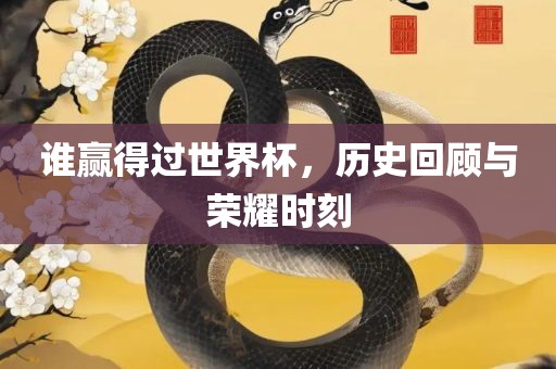 谁赢得过世界杯，历史回顾与荣耀时刻