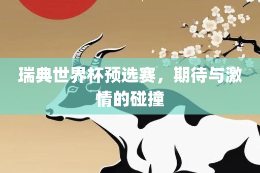 瑞典世界杯预选赛，期待与激情的碰撞