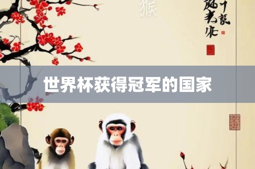 世界杯获得冠军的国家