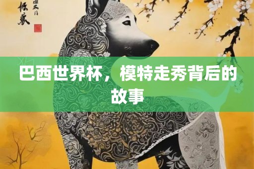 巴西世界杯，模特走秀背后的故事