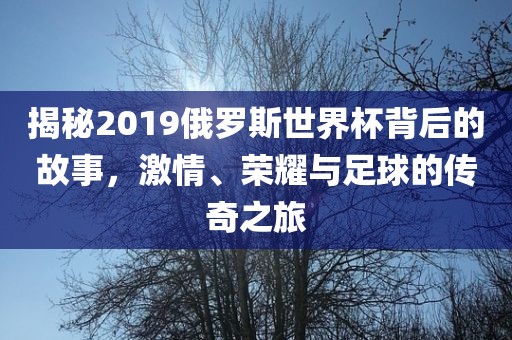 揭秘2019俄罗斯世界杯背后的故事，激情、荣耀与足球的传奇之旅