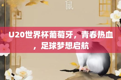 U20世界杯葡萄牙，青春热血，足球梦想启航漯河市盈旭机械设备有限公司