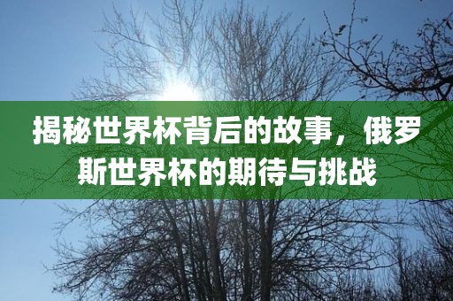 揭秘世界杯背后的故事，俄罗斯世界杯的期待与挑战