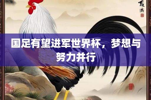 国足有望进军世界杯，梦想与努力并行