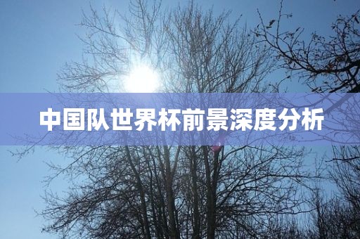 中国队世界杯前景深度分析