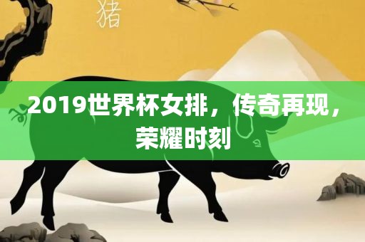2019世界杯女排，传奇再现，荣耀时刻