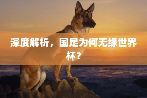 深度解析，国足为何无缘世界杯？