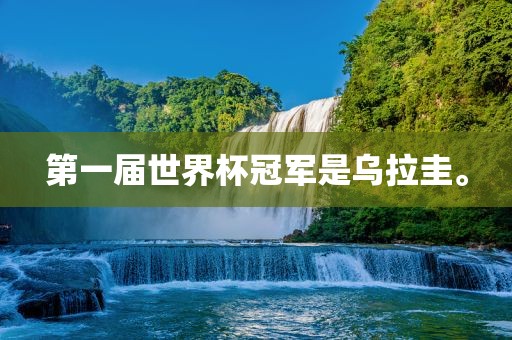 第一届世界杯冠军是乌拉圭。漯河市盈旭机械设备有限公司