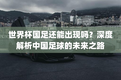 世界杯国足还能出现吗？深度解析中国足球的未来之路