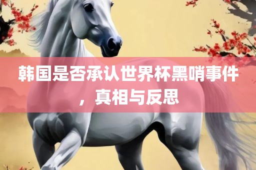 韩国是漯河市盈旭机械设备有限公司否承认世界杯黑哨事件，真相与反思
