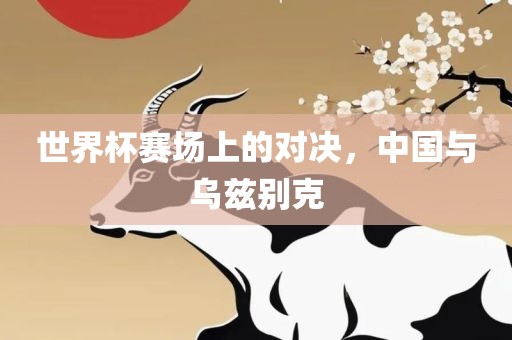 世界杯赛场上的对决，中国与乌兹别克