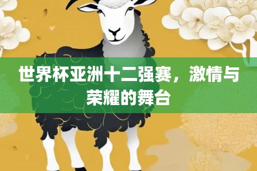 世界杯亚洲十二强赛，激情与荣耀的舞台