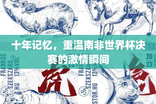 十年记忆，重温南非世界杯决赛的激情瞬间