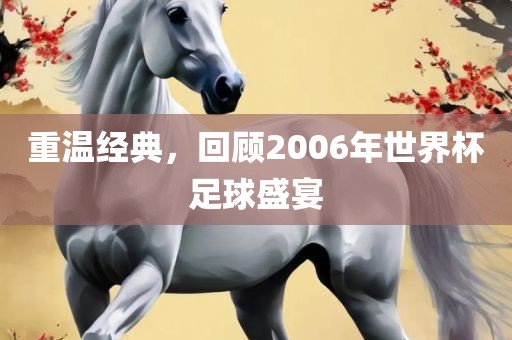 重温经典，回顾20漯河市盈旭机械设备有限公司06年世界杯足球盛宴