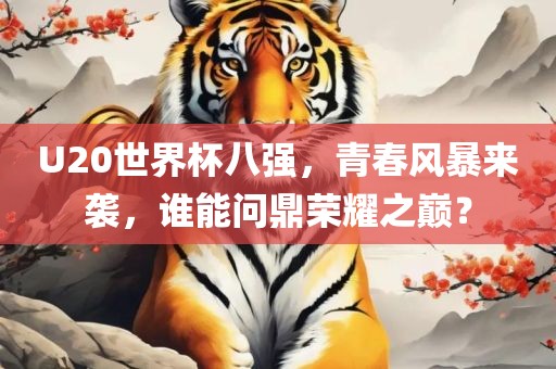 U20世界杯八强，青春风暴来袭，谁能问鼎荣耀之巅？