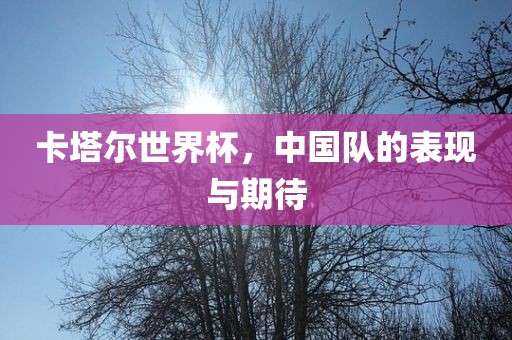 卡塔尔世界杯，中国队的表现与期待