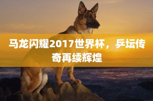 马龙闪耀2017世界杯，乒坛传奇再续辉煌漯河市盈旭机械设备有限公司