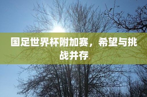 国足世界杯附加赛，希望与挑战并存